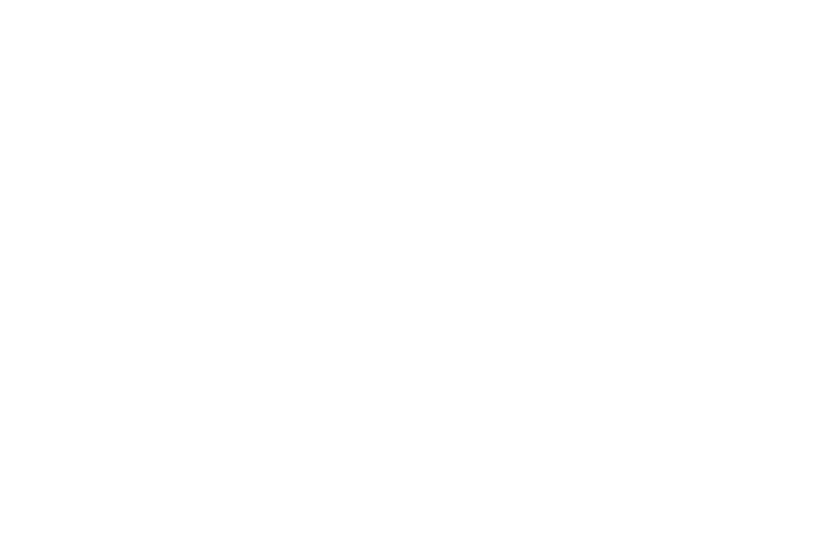 Resch Chiropractic & Wellness Gallery Logo
